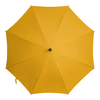 Заказать зонт в Москве. Зонт-трость двусторонний с деревянной ручкой Ромашки от valezar - готовые дизайны и нанесение принтов.