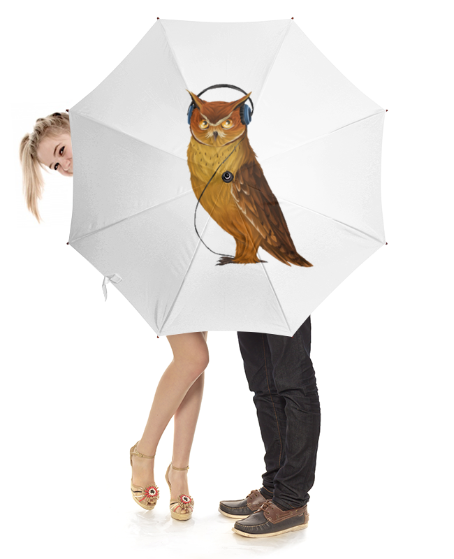 Включи bird. Зонт с совой. Сова с зонтиком. Зонты-трости с совой. Зонт рукоятка Сова.