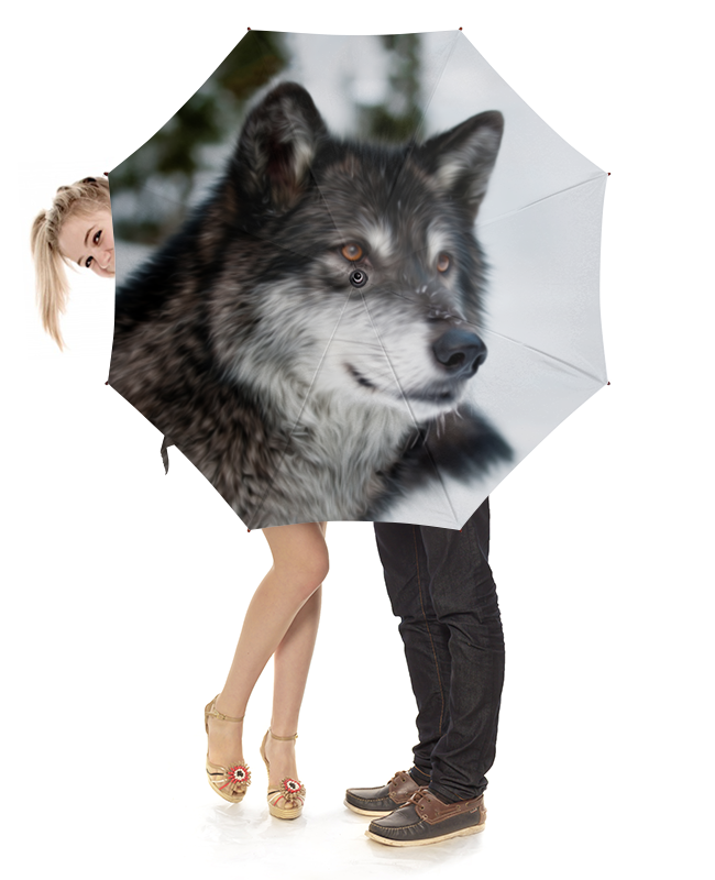 Printio Зонт-трость с деревянной ручкой Серый волк printio зонт трость двусторонний с деревянной ручкой серый волк