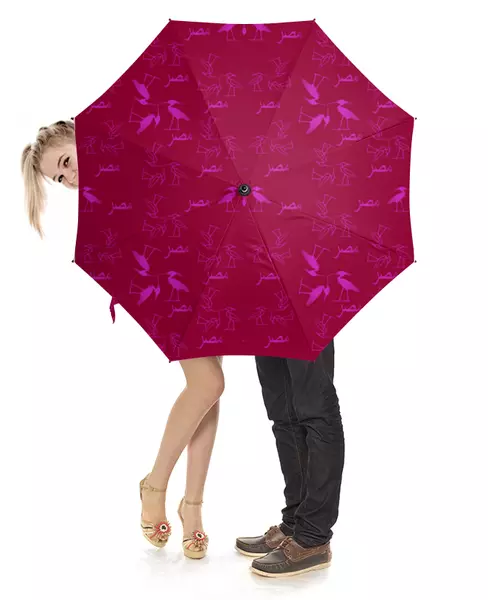 Заказать зонт в Москве. Зонт-трость с деревянной ручкой Розовые цапли в узоре от nadebra@mail.ru - готовые дизайны и нанесение принтов.