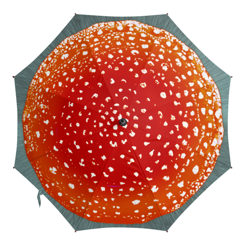 Заказать зонт в Москве. Зонт-трость с деревянной ручкой Мухомор-Ро от vipe - готовые дизайны и нанесение принтов.