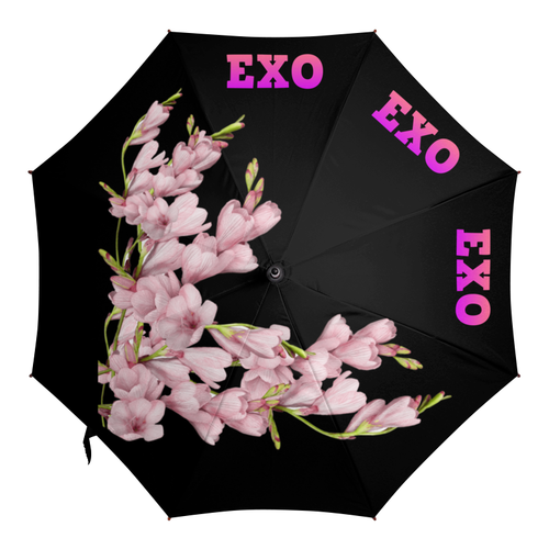 Заказать зонт в Москве. Зонт-трость с деревянной ручкой EXO розовые цветы от nionilla - готовые дизайны и нанесение принтов.