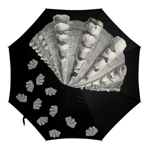 Заказать зонт в Москве. Зонт-трость с деревянной ручкой Acephala, Ernst Haeckel от Apfelbaum - готовые дизайны и нанесение принтов.