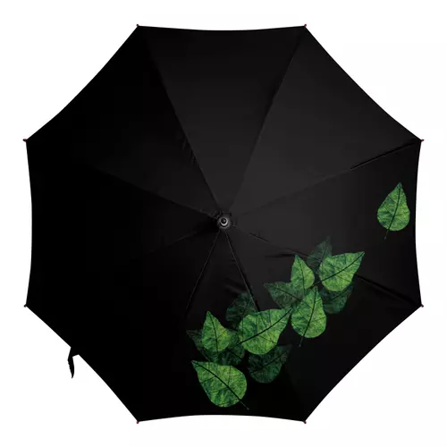 Заказать зонт в Москве. Зонт-трость с деревянной ручкой Evergreen Leaves от CoolColor  - готовые дизайны и нанесение принтов.