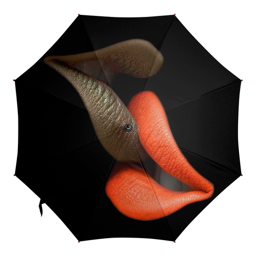Заказать зонт в Москве. Зонт-трость с деревянной ручкой поцелуй  от Наталья Чернова - готовые дизайны и нанесение принтов.