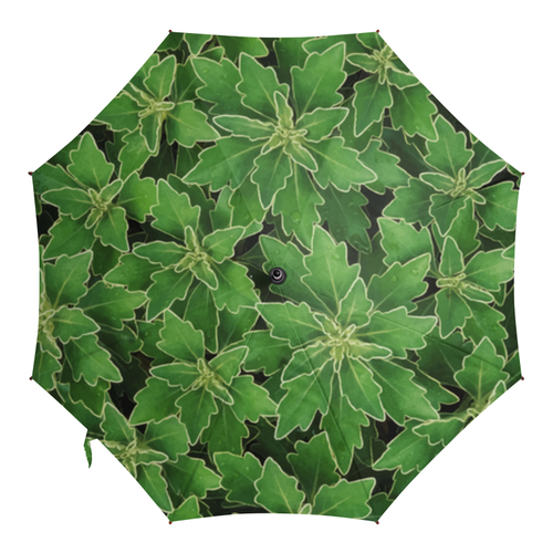 Заказать зонт в Москве. Зонт-трость с деревянной ручкой Зеленые листья  от valezar - готовые дизайны и нанесение принтов.