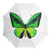 Заказать зонт в Москве. Зонт-трость с деревянной ручкой Птицекрылка от Alexey Evsyunin - готовые дизайны и нанесение принтов.