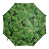 Заказать зонт в Москве. Зонт-трость с деревянной ручкой Зеленые листья  от valezar - готовые дизайны и нанесение принтов.