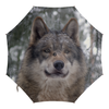 Заказать зонт в Москве. Зонт-трость с деревянной ручкой Волк в лесу от weeert - готовые дизайны и нанесение принтов.