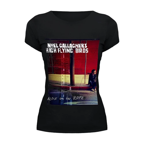 Заказать женскую футболку в Москве. Футболка базовая Noel Gallagher's High Flying Birds от Денис - готовые дизайны и нанесение принтов.