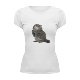 Заказать женскую футболку в Москве. Футболка базовая котенок от THE_NISE  - готовые дизайны и нанесение принтов.