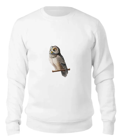 Заказать свитшот в Москве. Женский свитшот хлопковый Совушка от owl - готовые дизайны и нанесение принтов.
