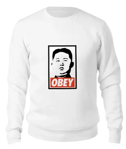 Заказать свитшот в Москве. Женский свитшот хлопковый Подчинись (Obey) от Andrew Zaycev - готовые дизайны и нанесение принтов.