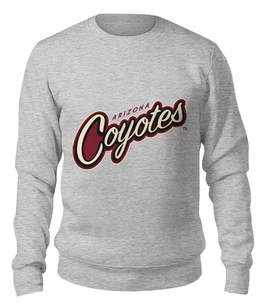 Заказать свитшот в Москве. Женский свитшот хлопковый Arizona Coyotes от kspsshop - готовые дизайны и нанесение принтов.