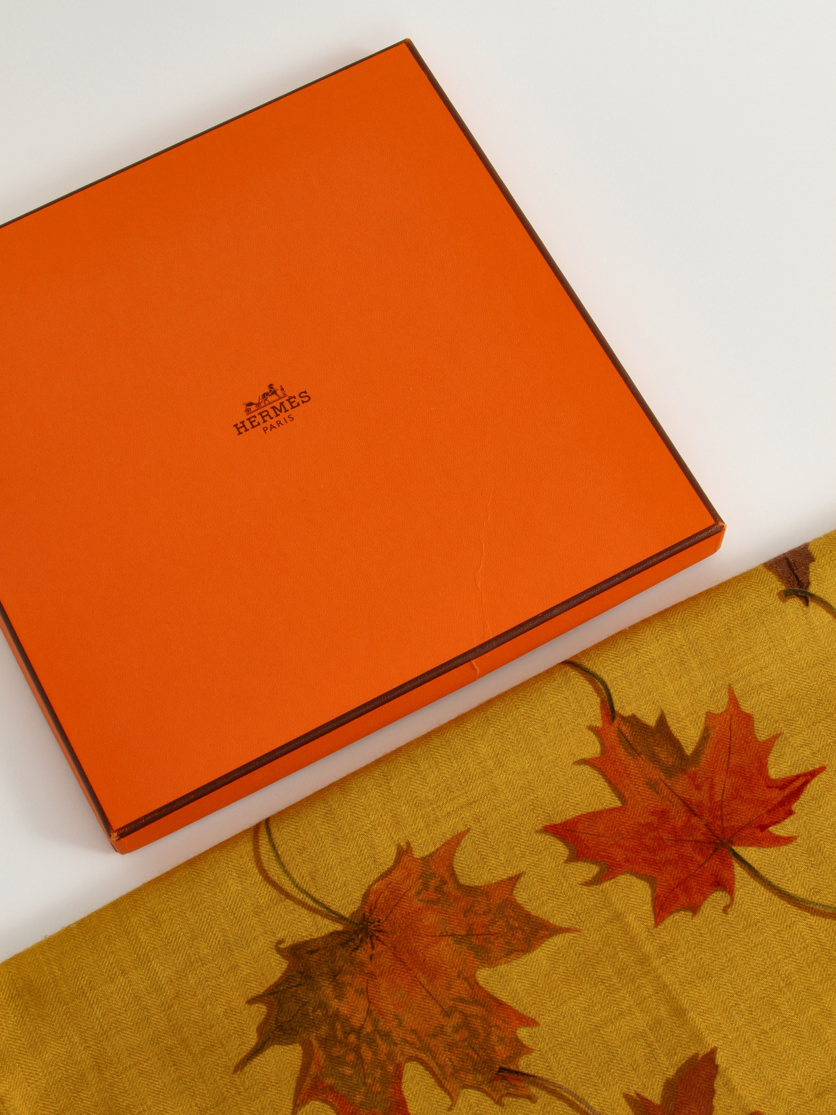 Hermes Silk Scarf 5