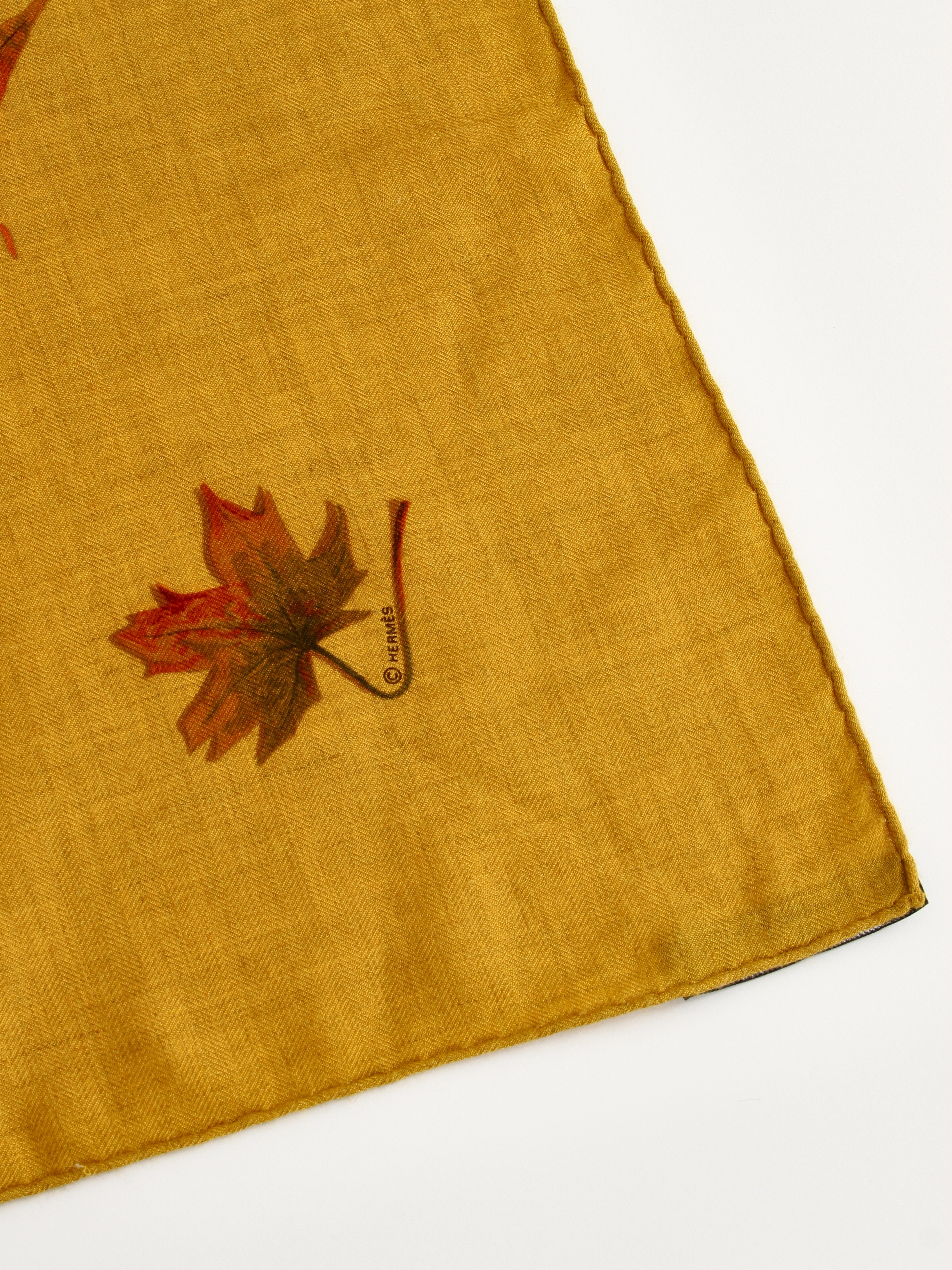 Hermes Silk Scarf 2
