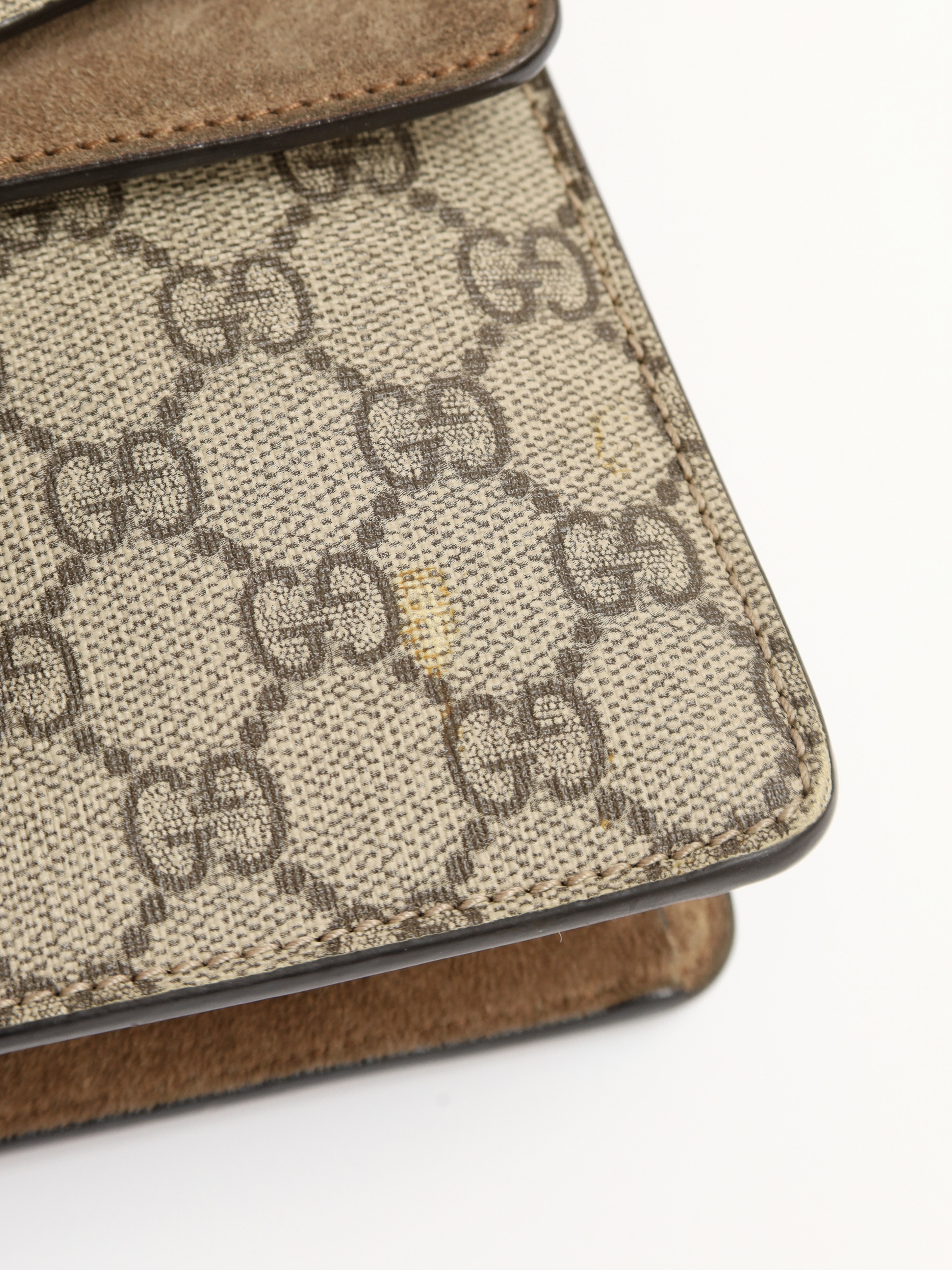Gucci Dionysus 10