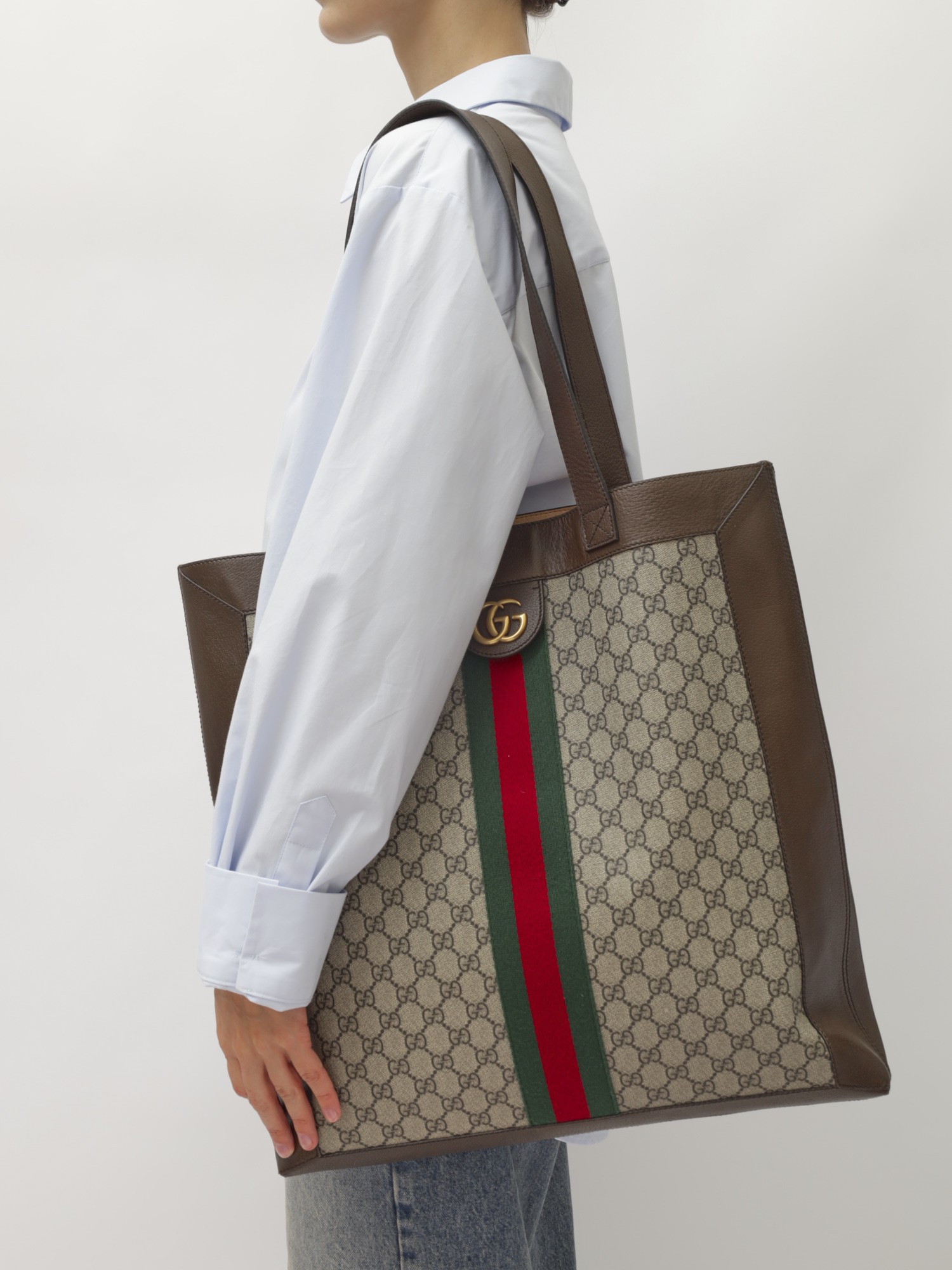 Gucci Ophidia 1