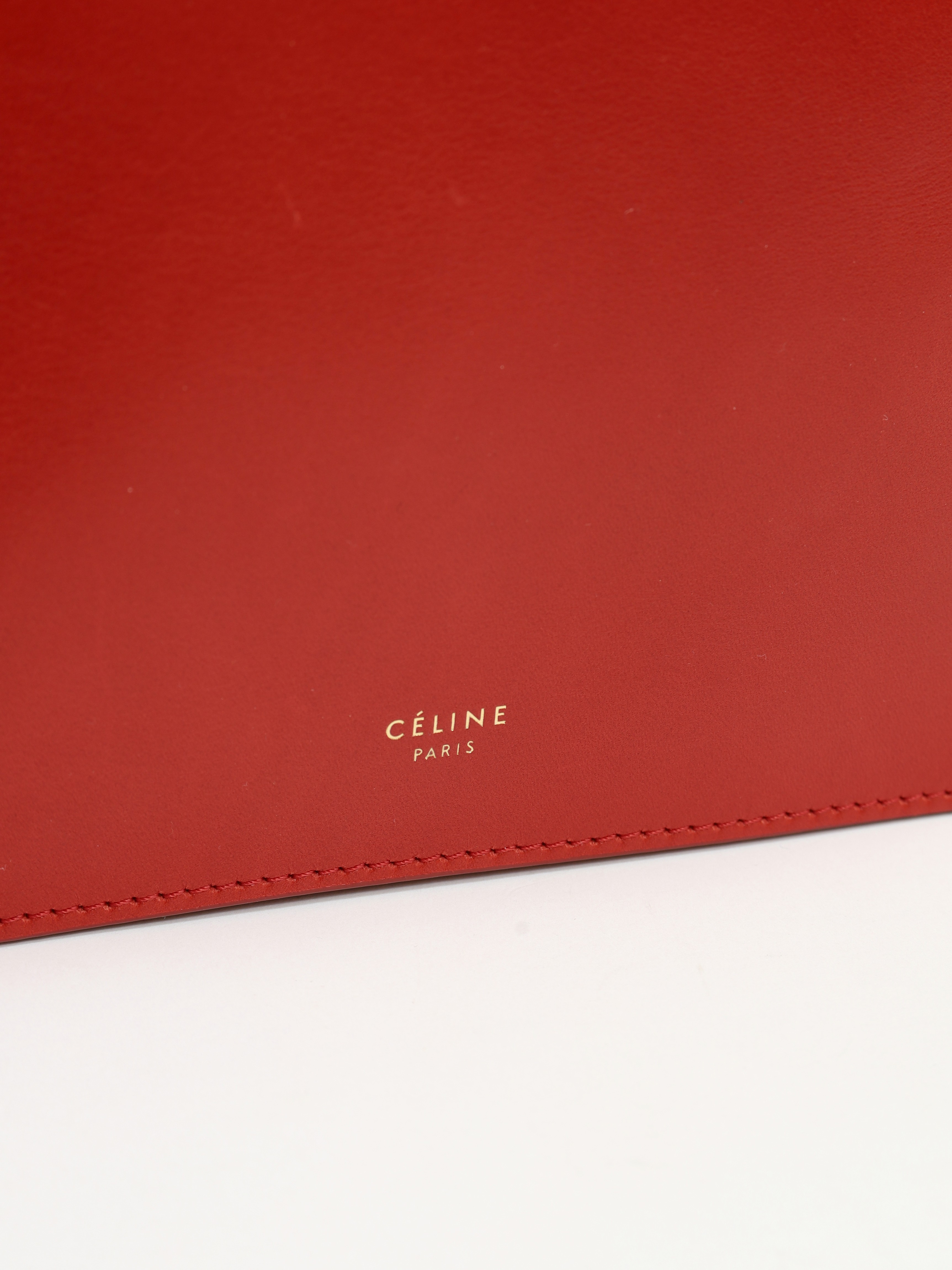 Celine Clasp 5