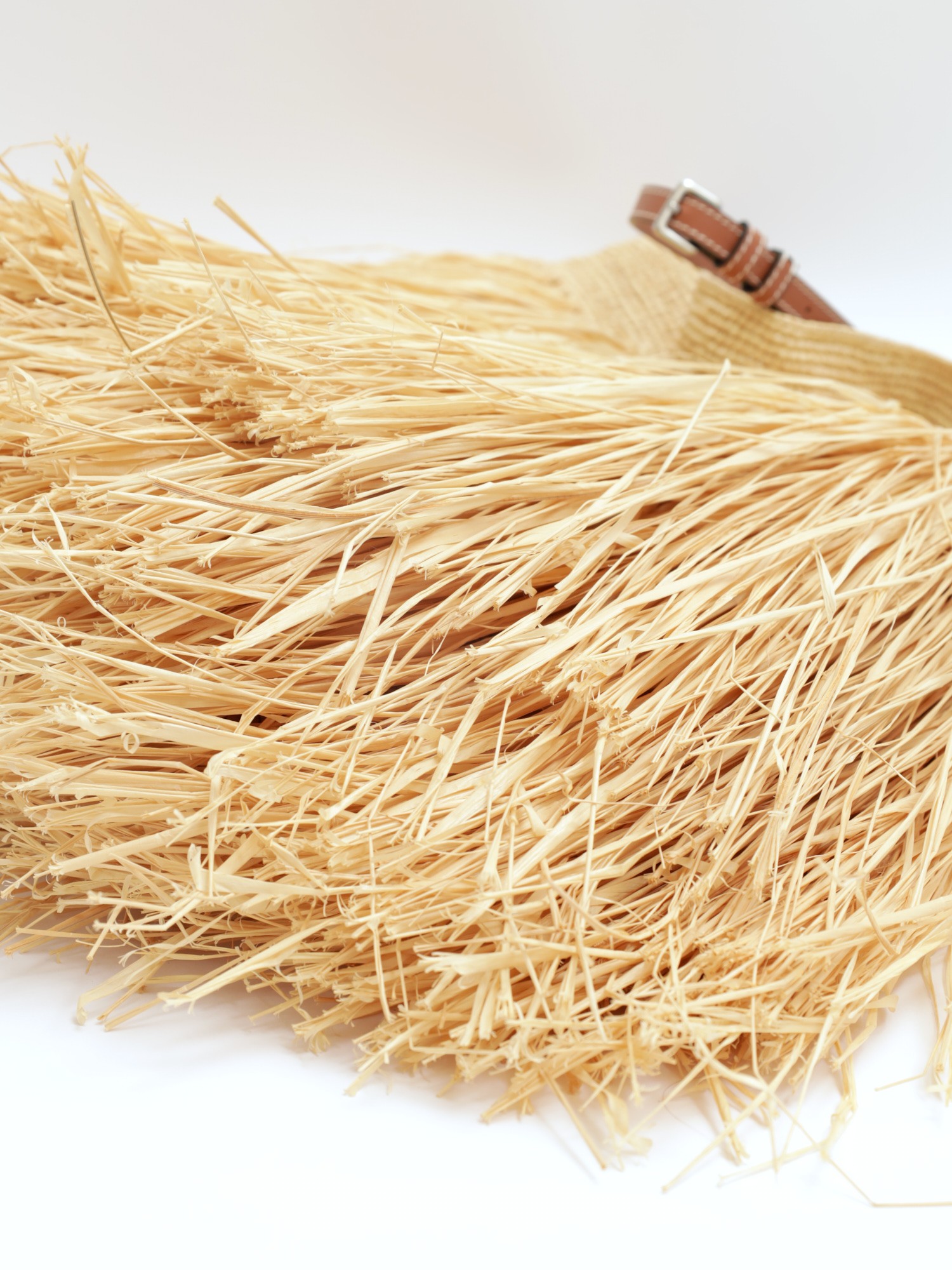 Loewe Raffia Bag 9