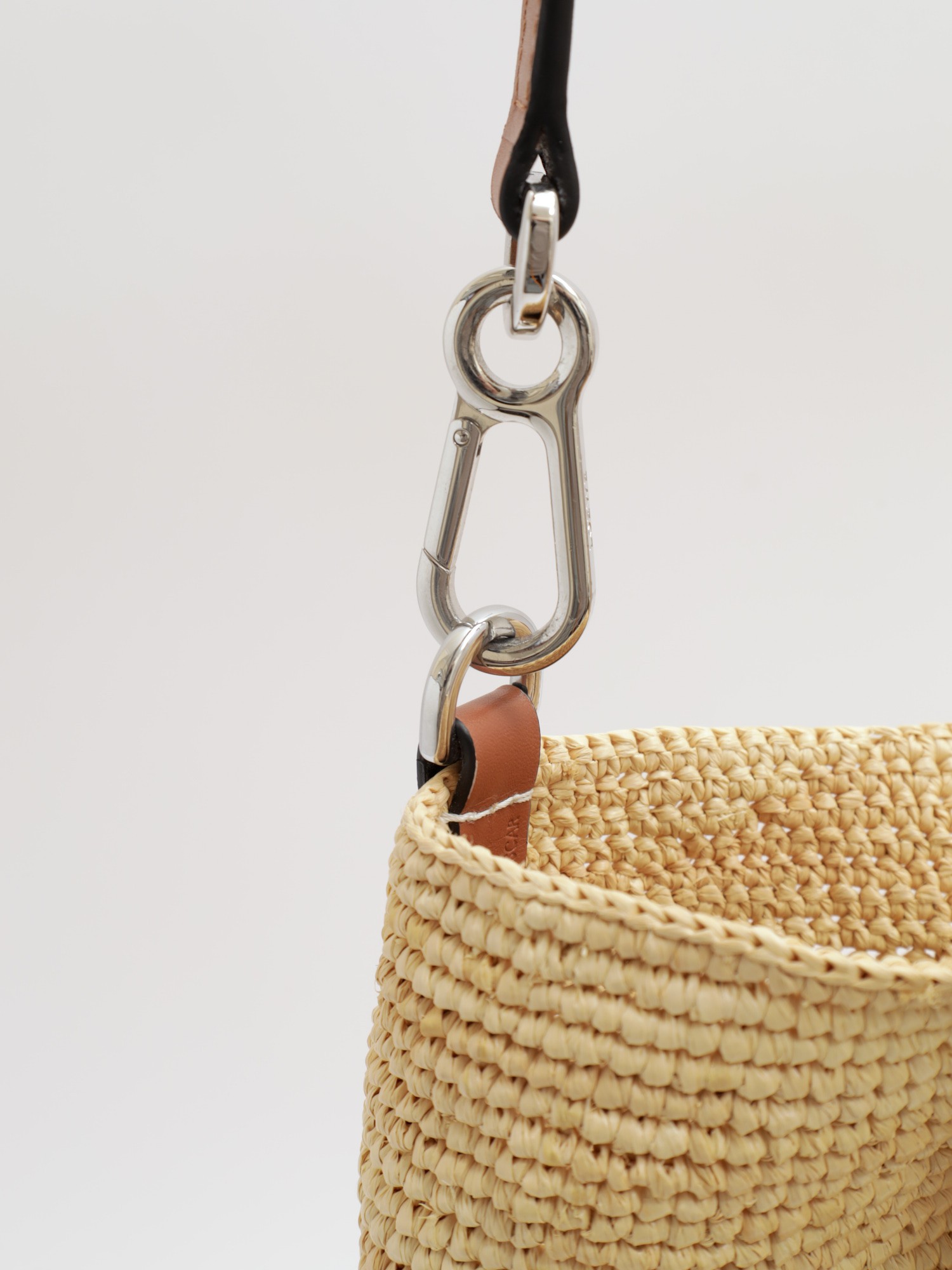Loewe Raffia Bag 6