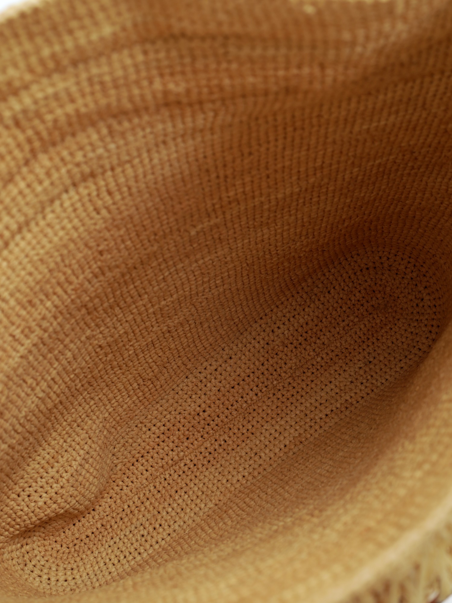 Loewe Raffia Bag 11