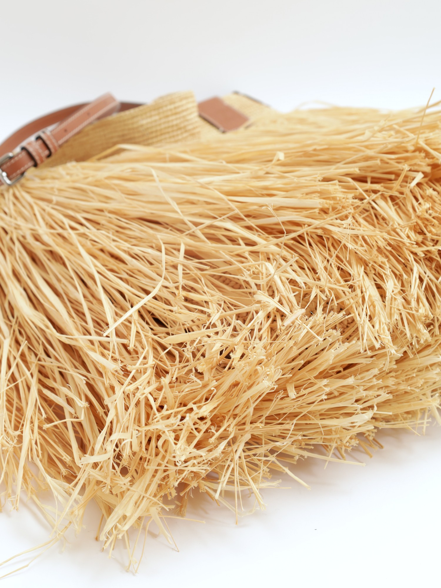 Loewe Raffia Bag 10