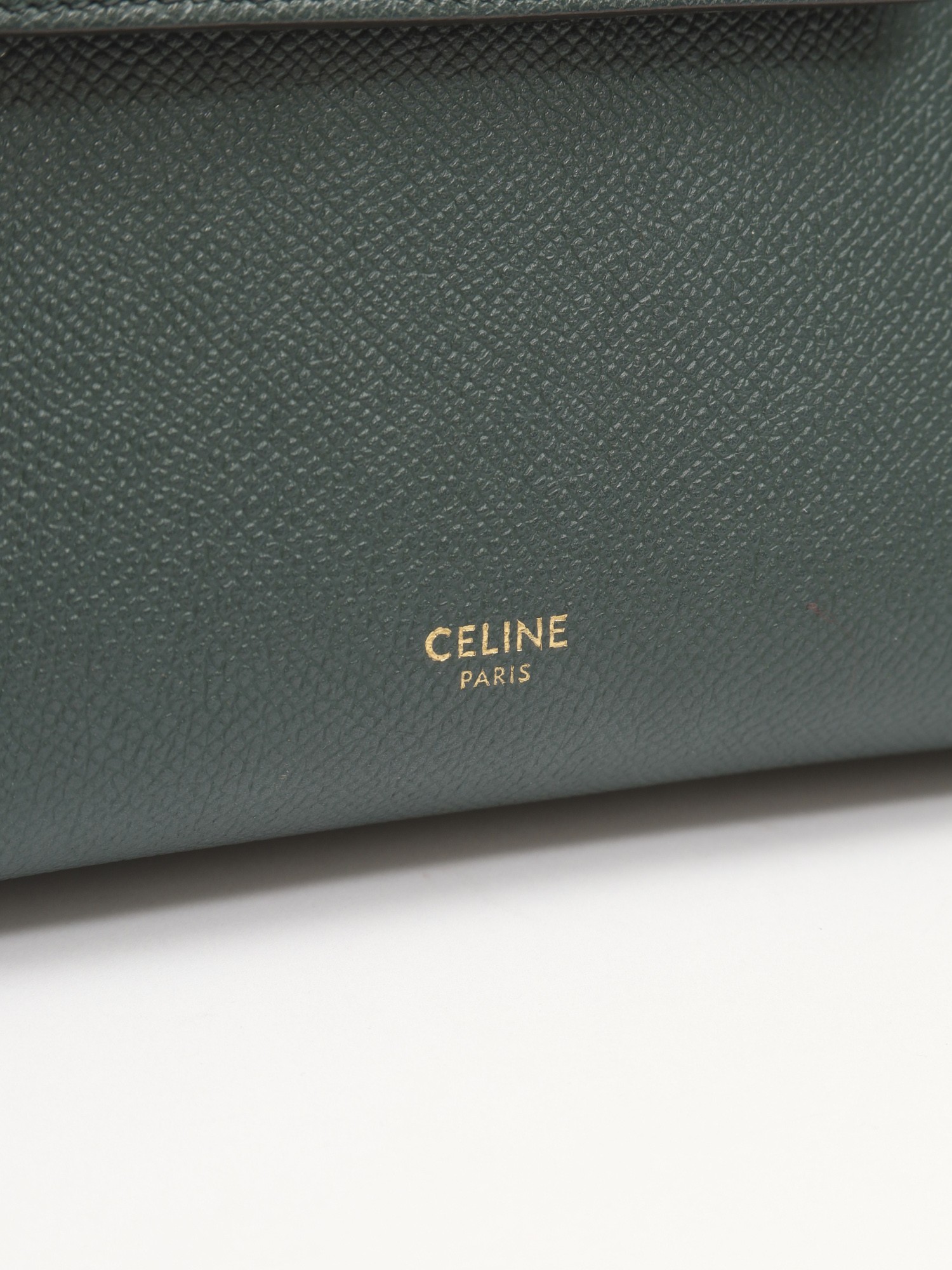 Celine Belt 5
