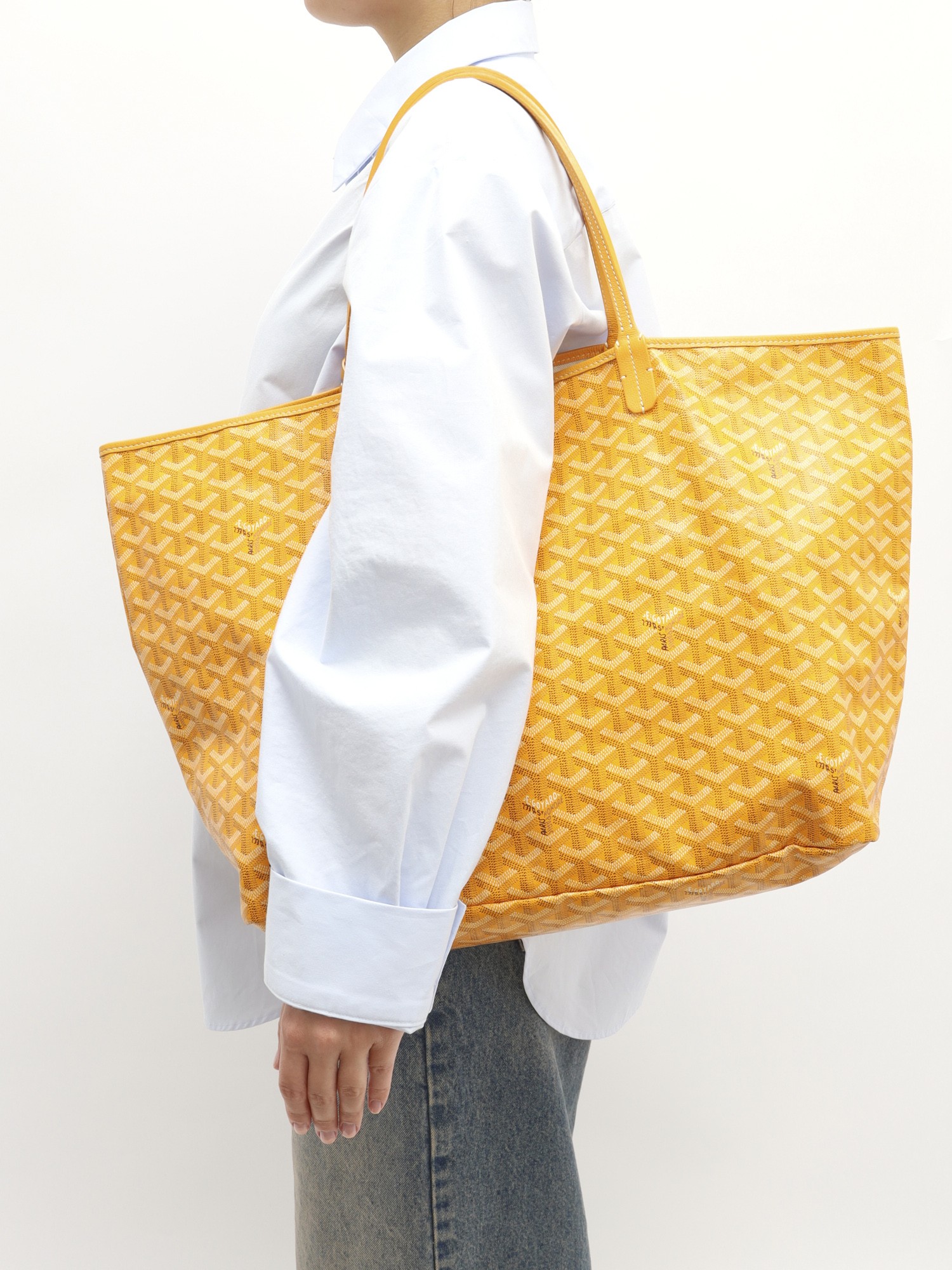 Goyard Saint Louis 1