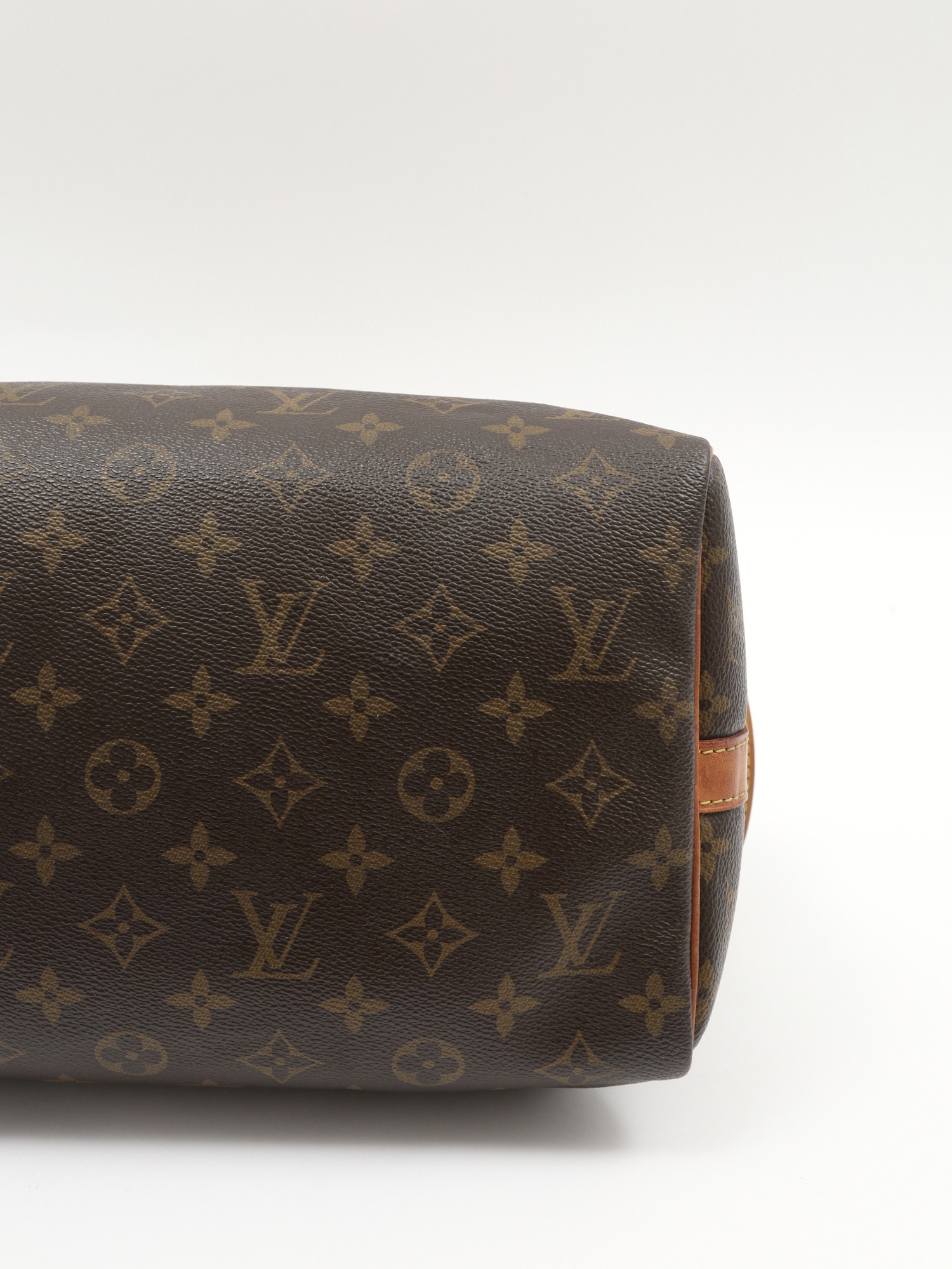Louis Vuitton Speedy 10
