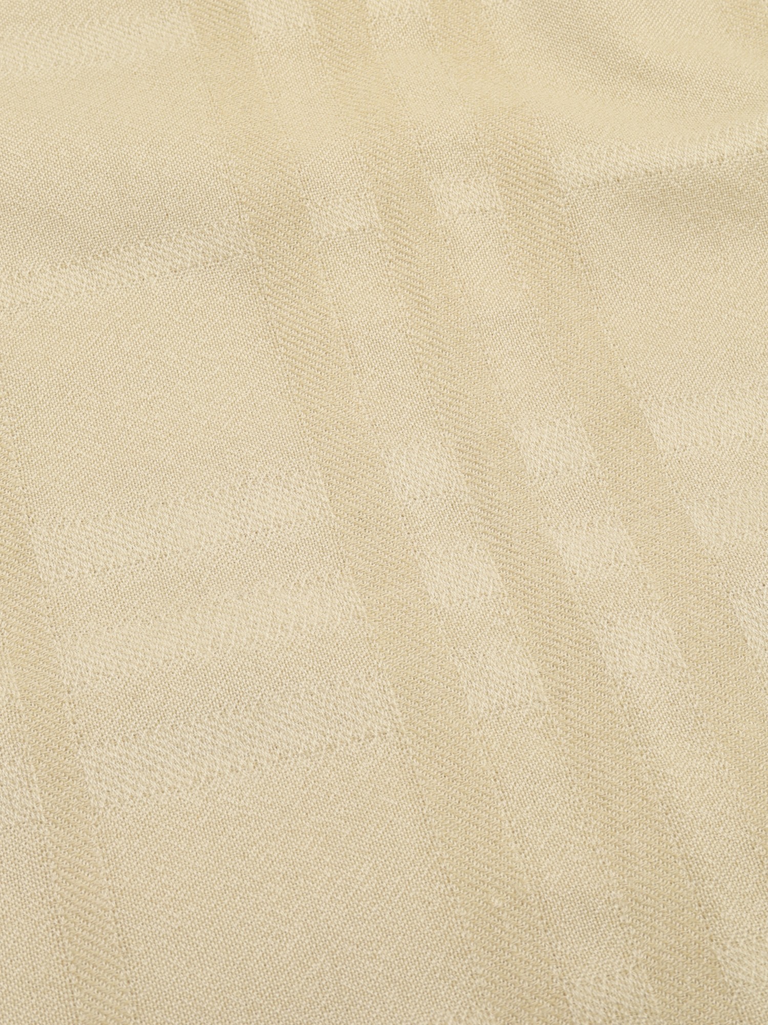 Burberry Scarf  3