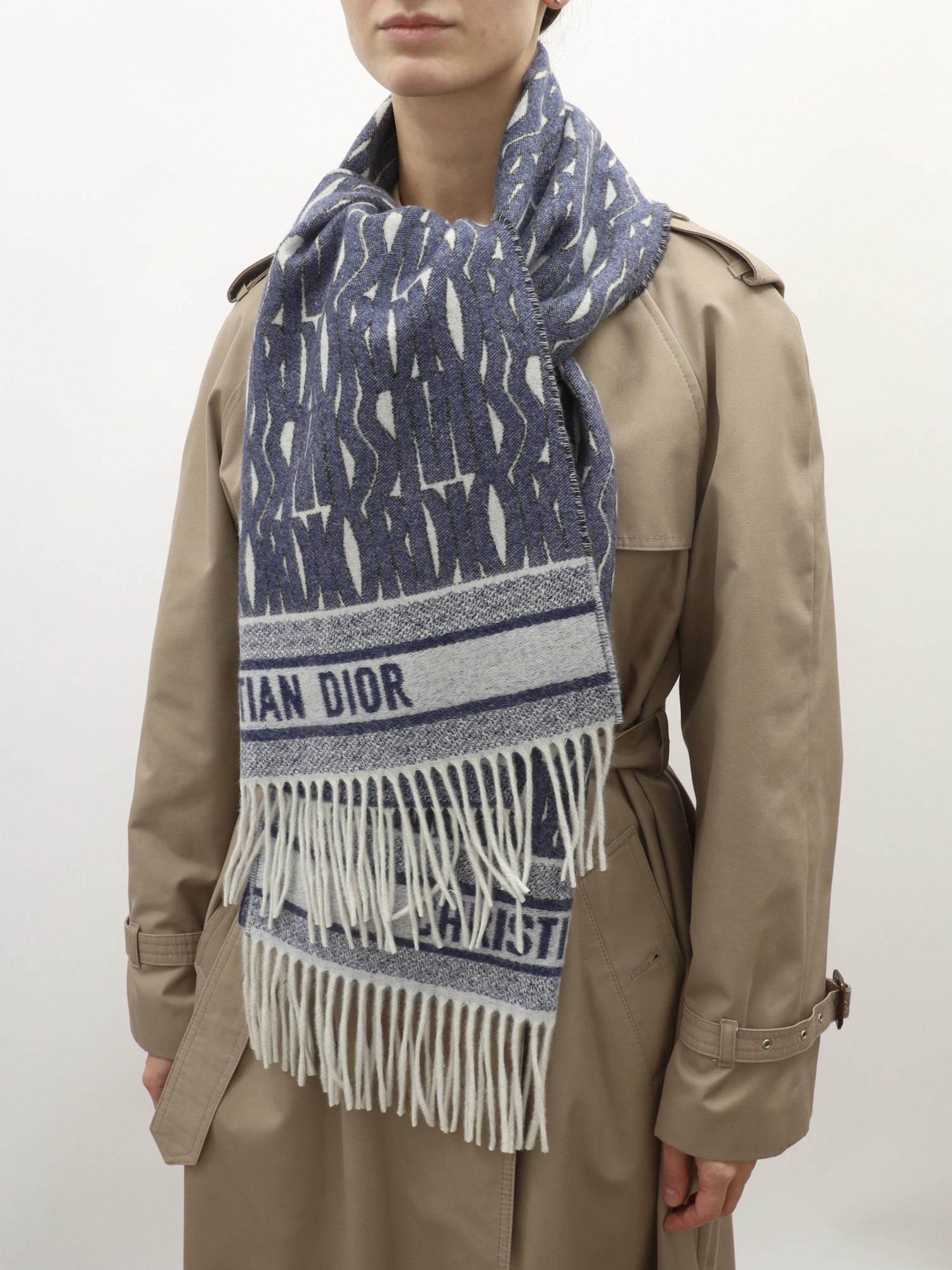 Christian Dior Scarf 1