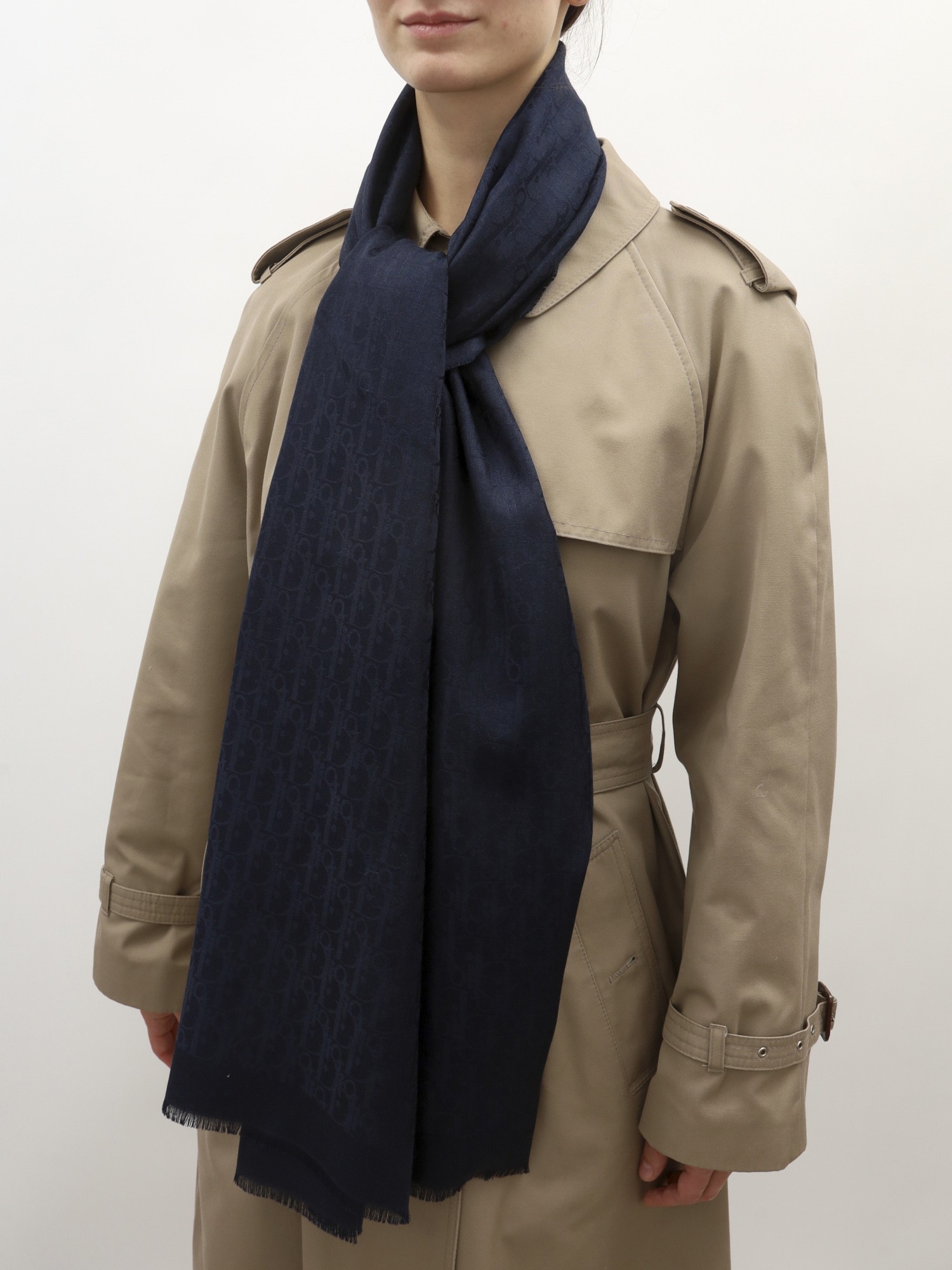 Christian Dior Scarf 1