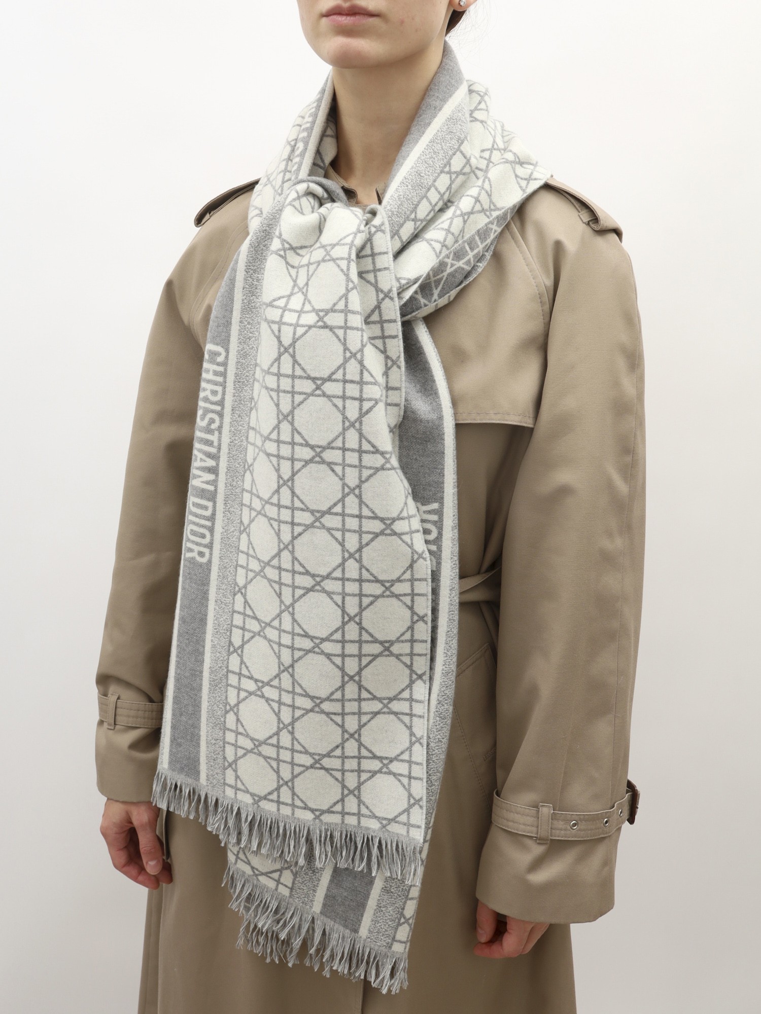 Christian Dior Scarf 1