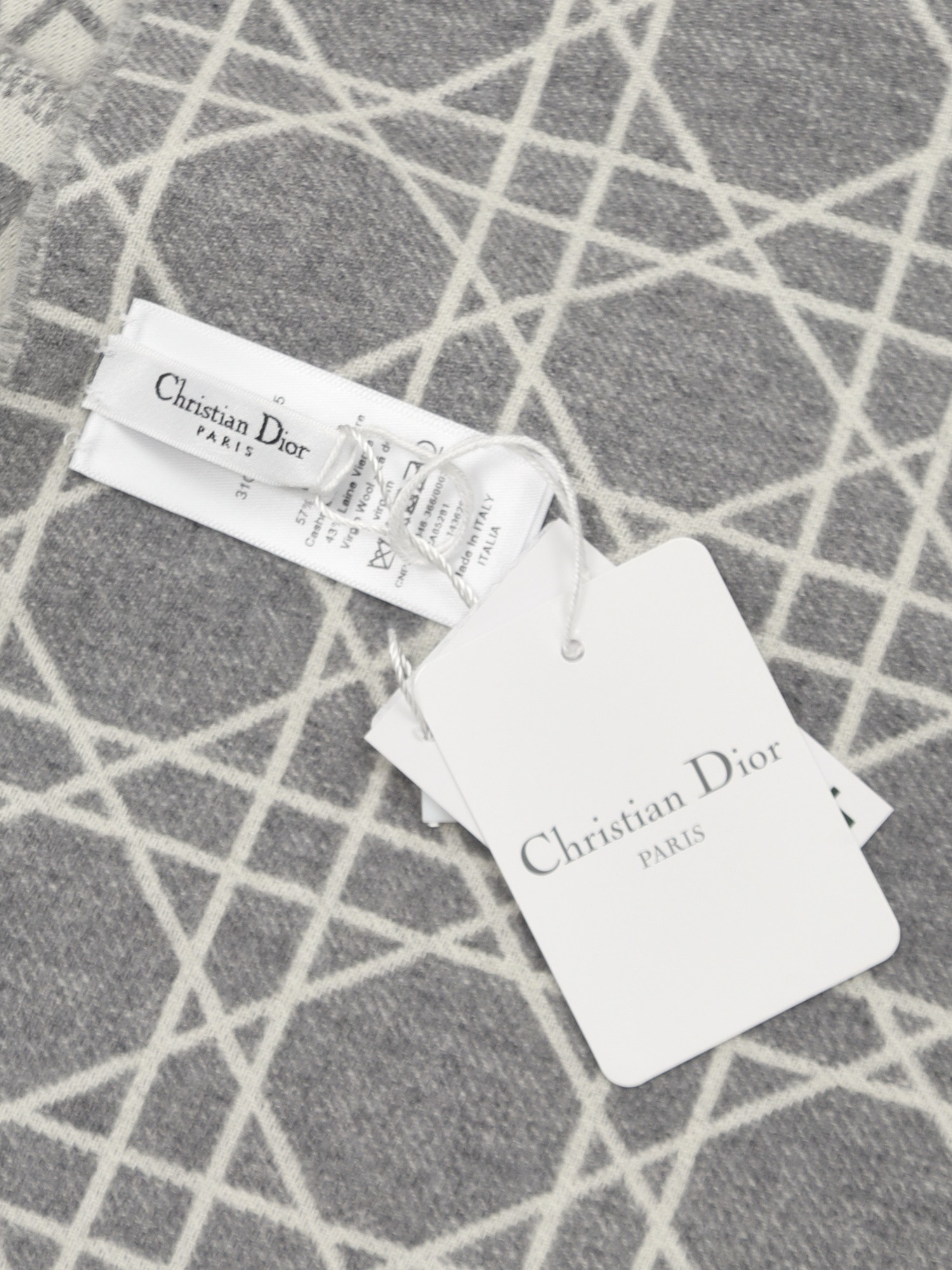 Christian Dior Scarf 5