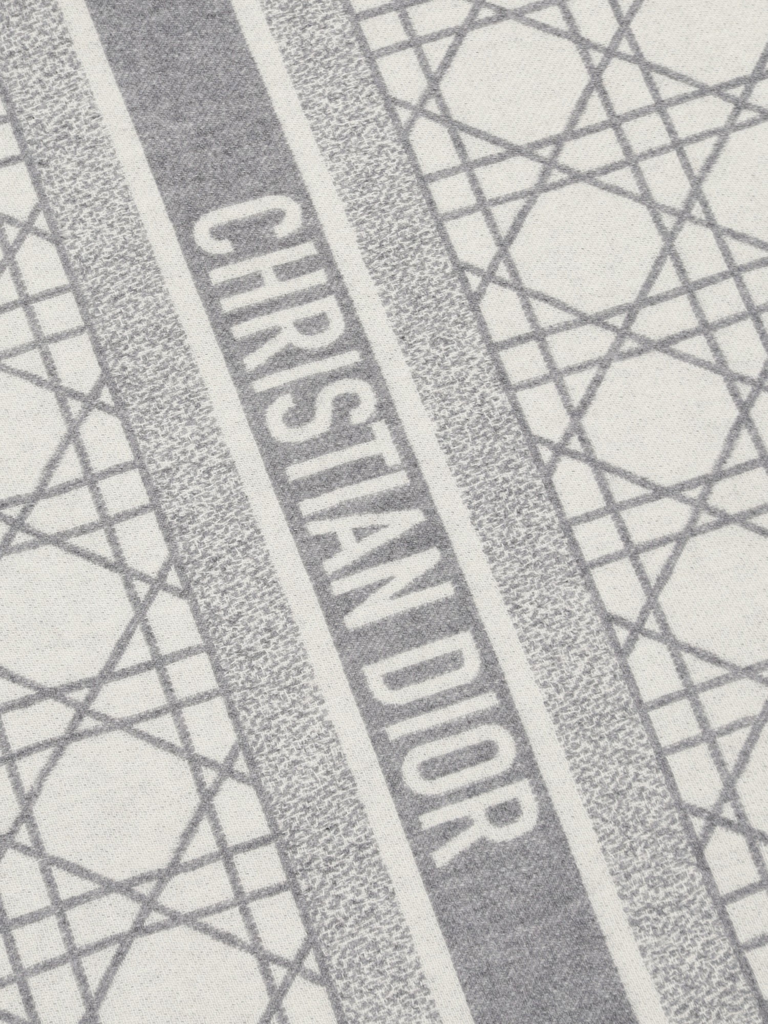 Christian Dior Scarf 2