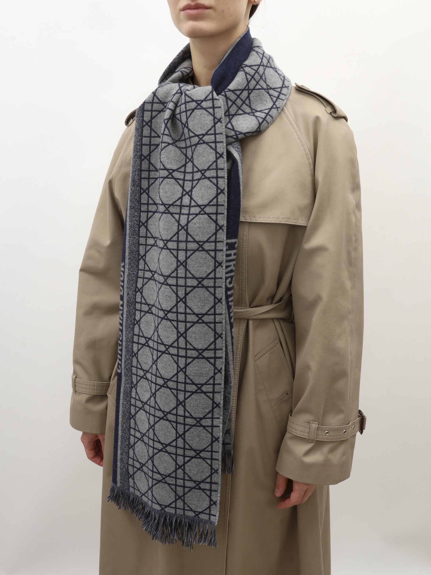 Christian Dior Scarf 1