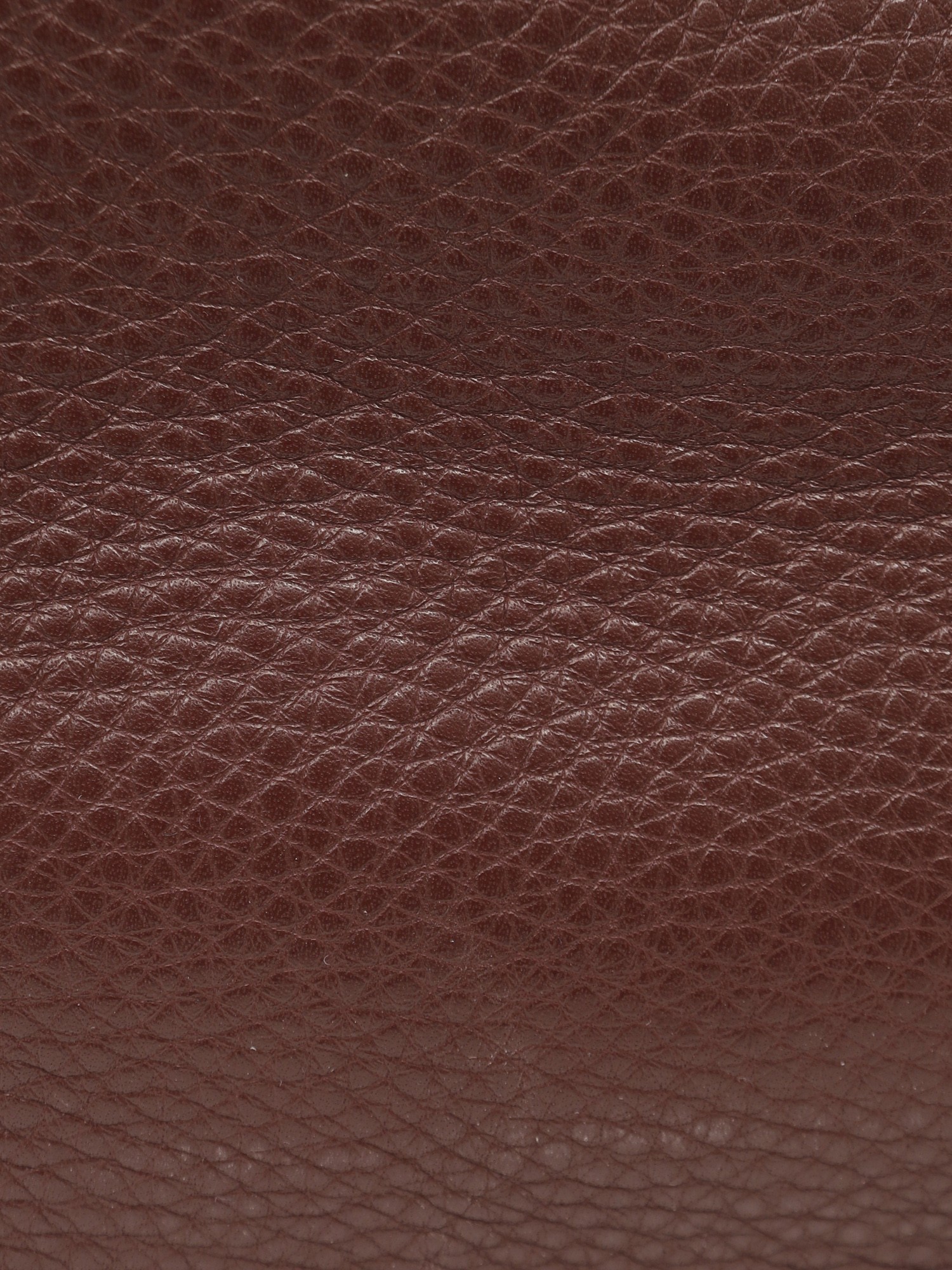 Valentino Leather Bag 10