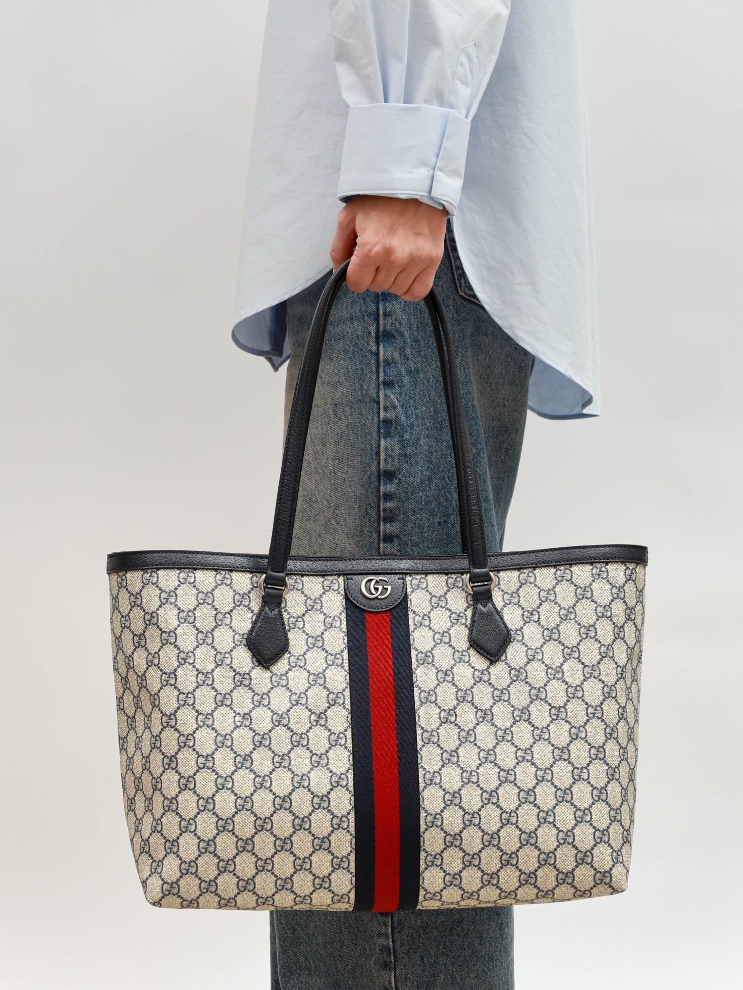Gucci Ophidia 1
