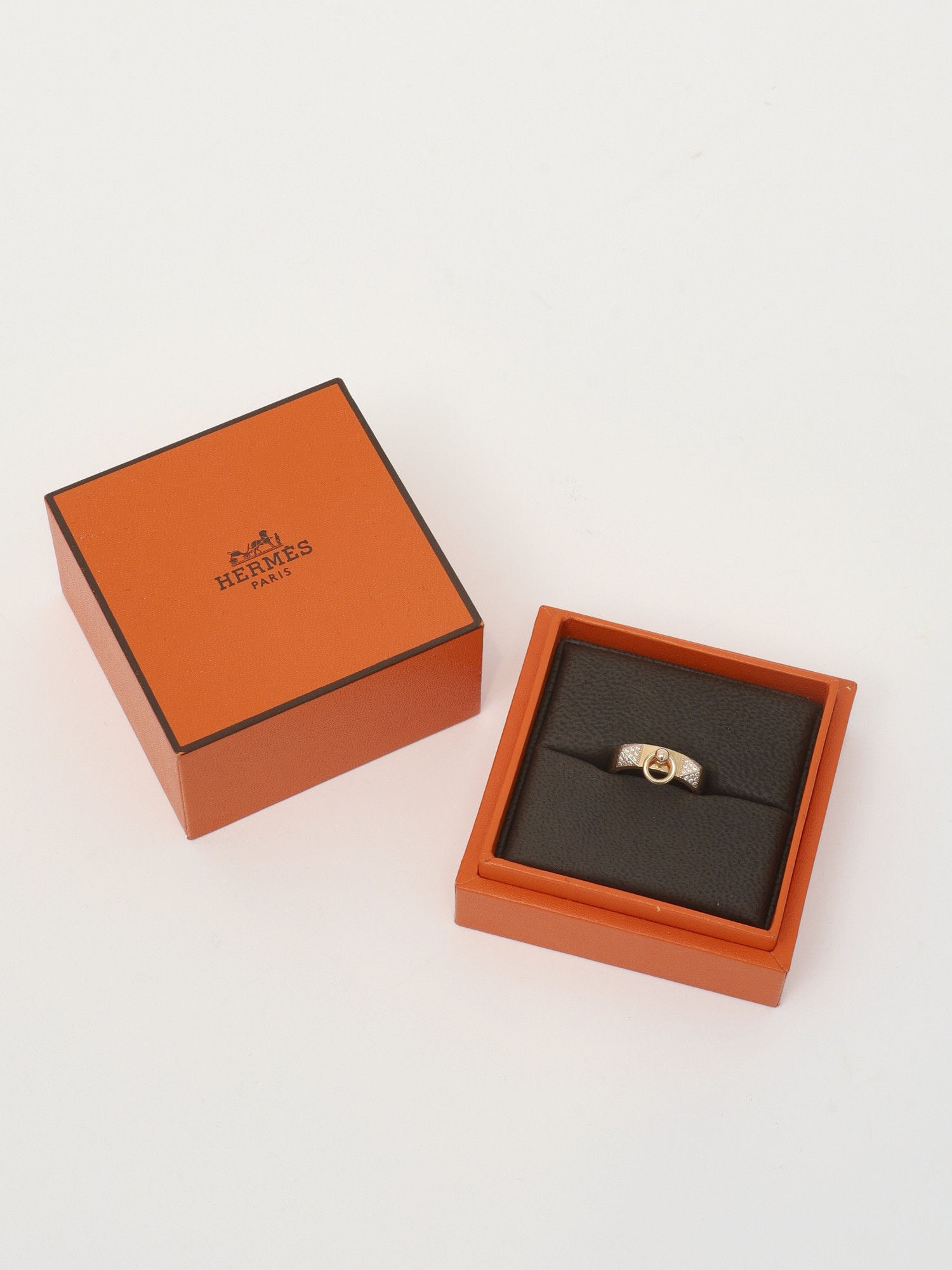 Hermes Collier De Chien 2