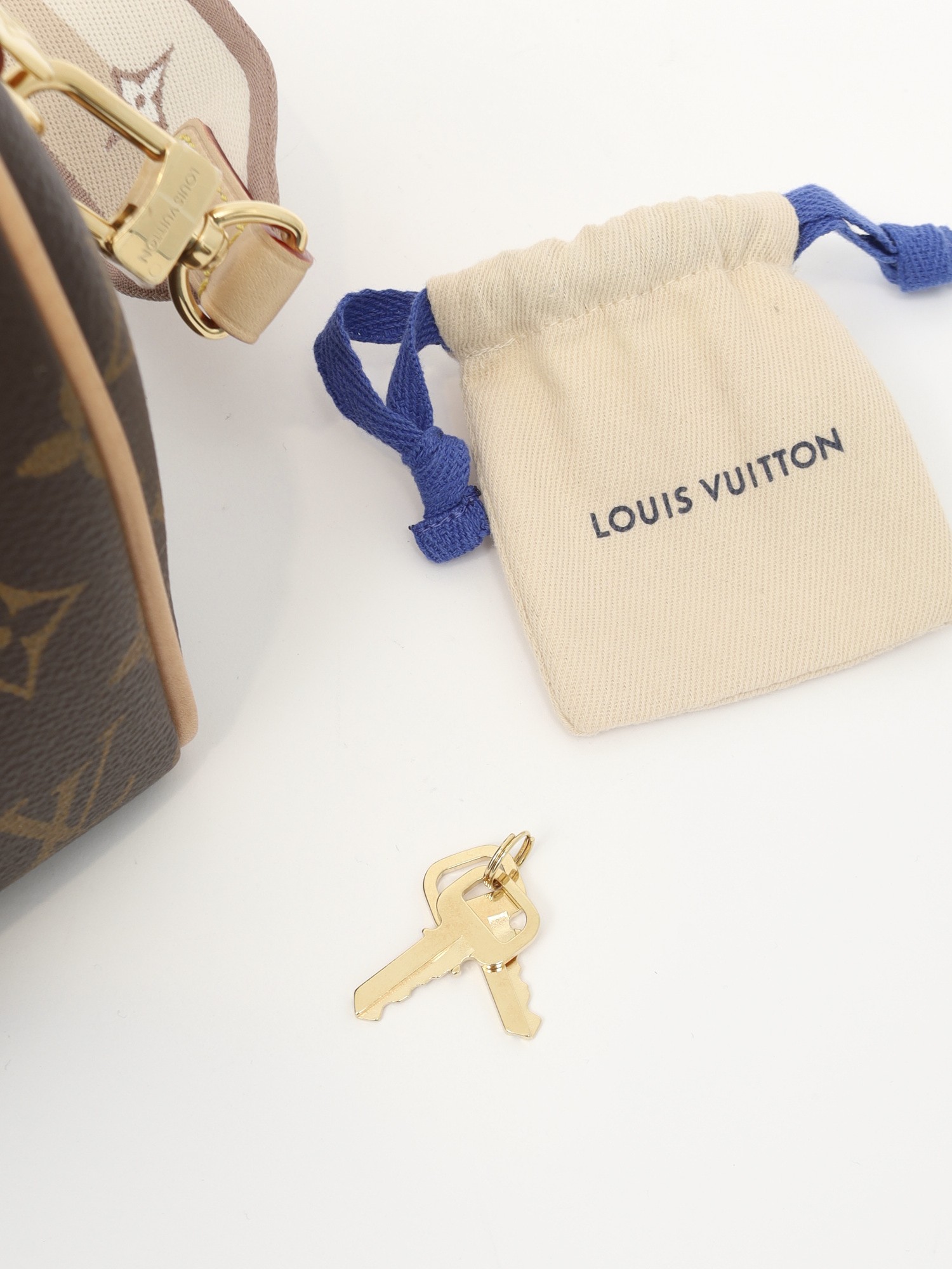 Louis Vuitton Speedy 10