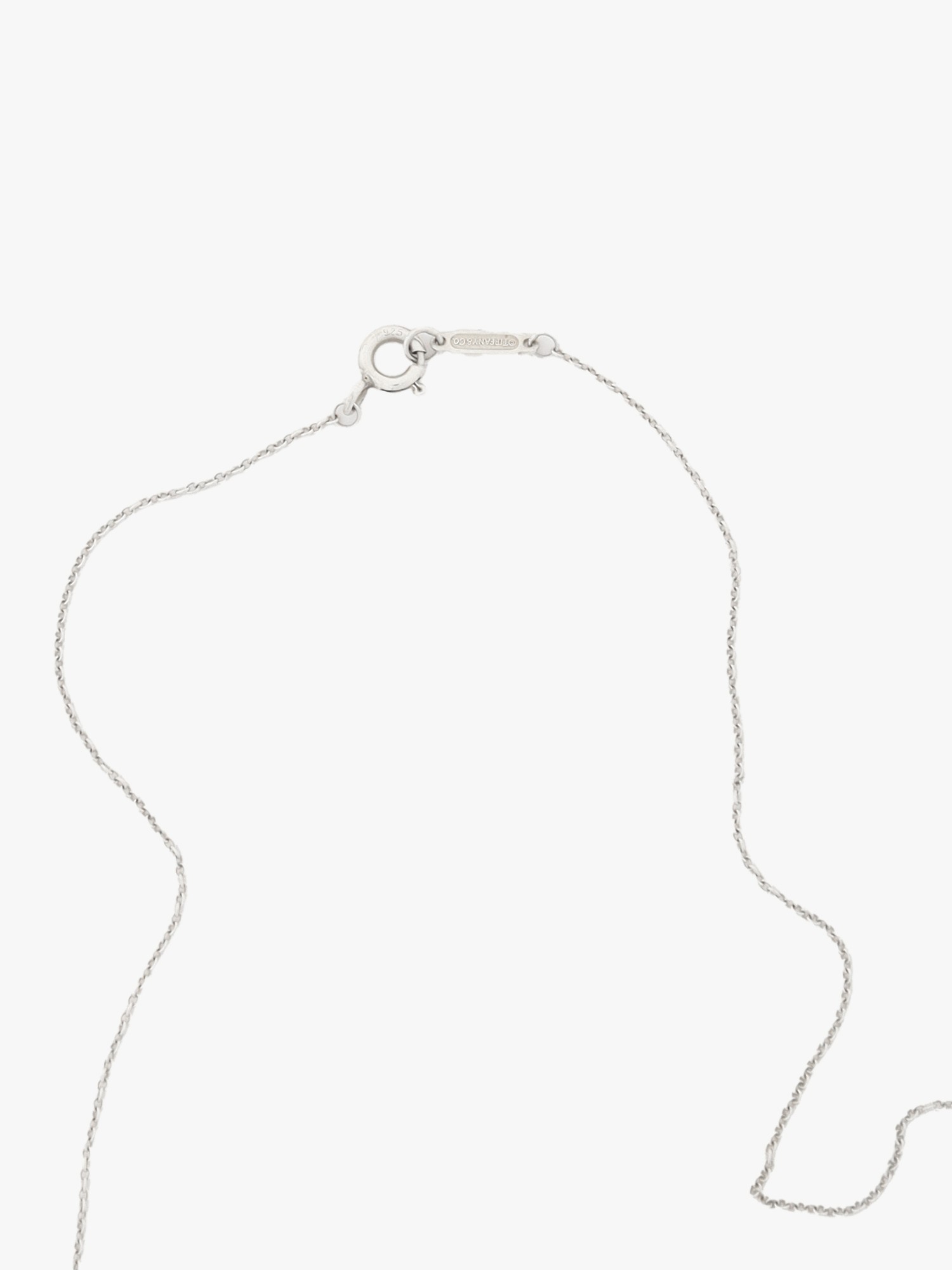 Tiffany & Co. Horseshoe 3