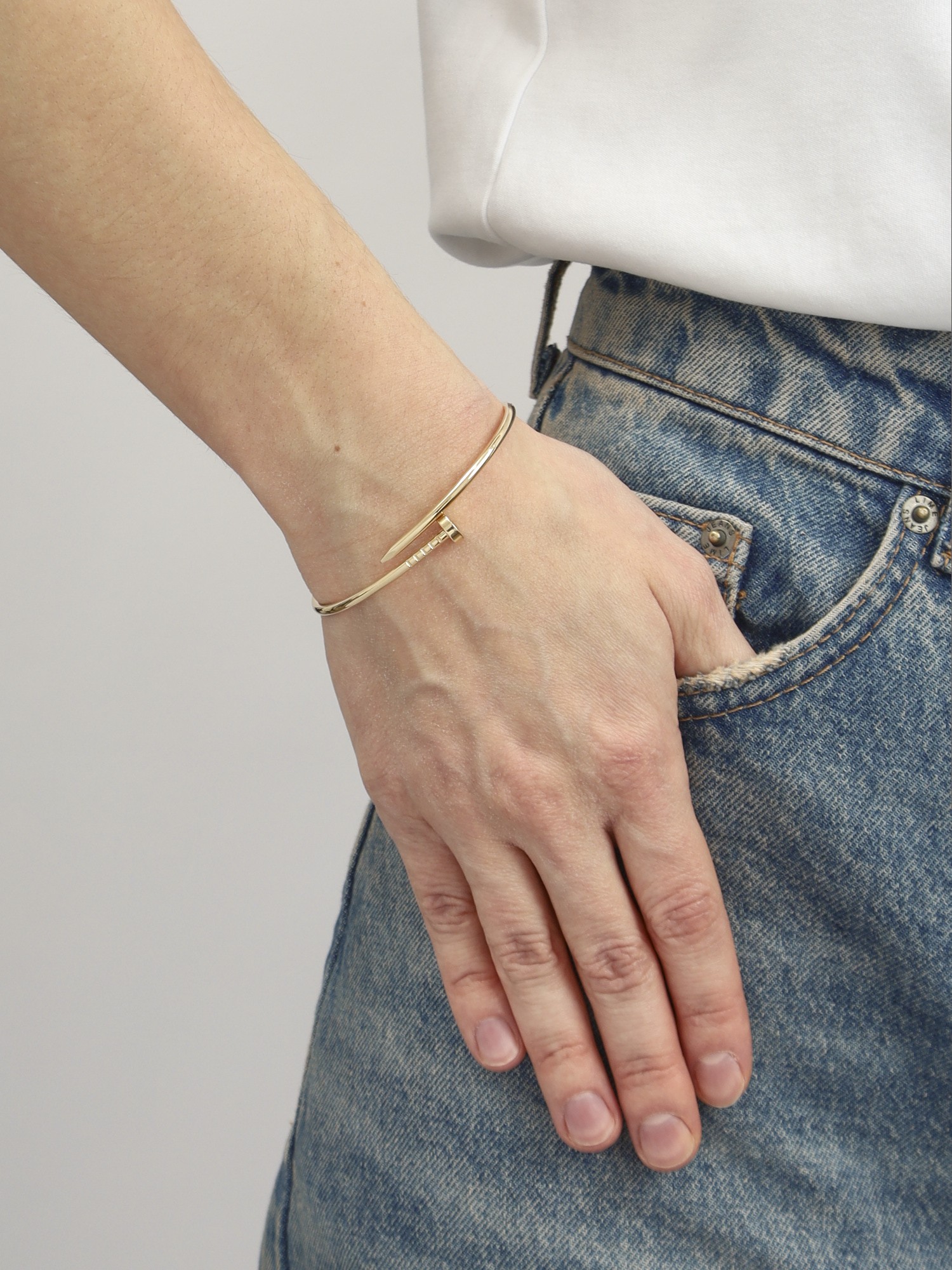 Cartier Juste Un Clou 1