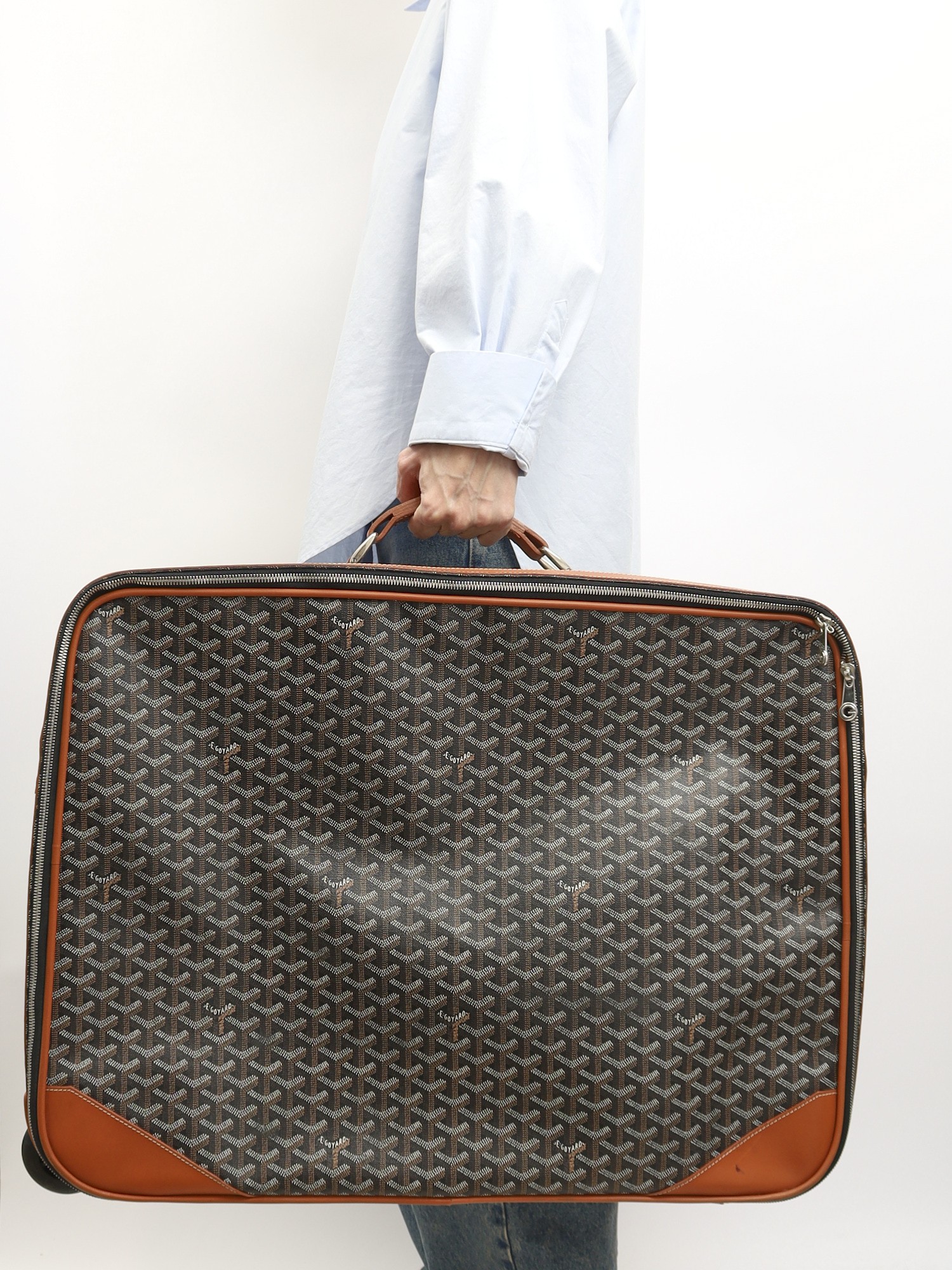 Goyard Canvas Bag 1