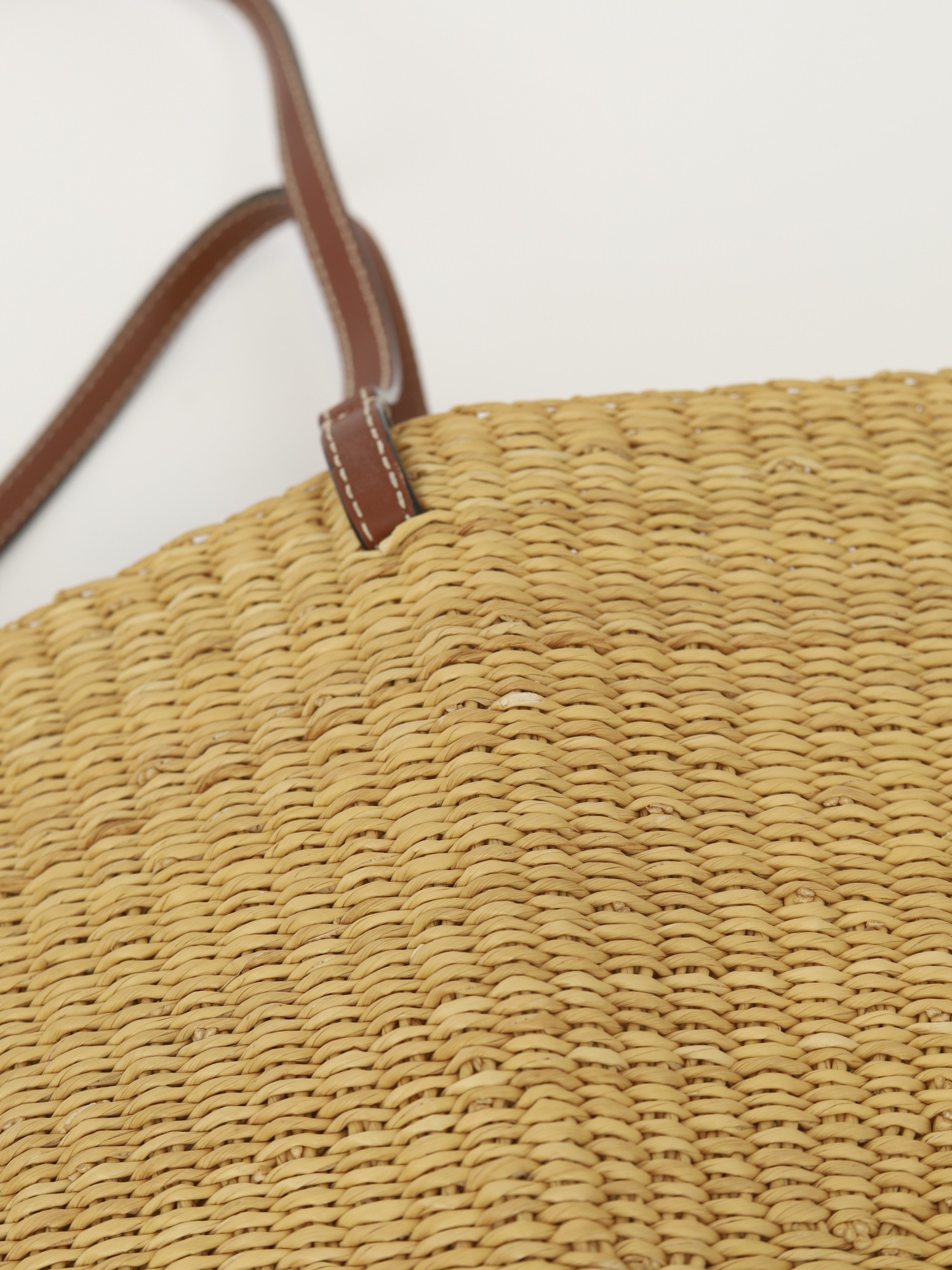 Loewe Raffia Bag 6