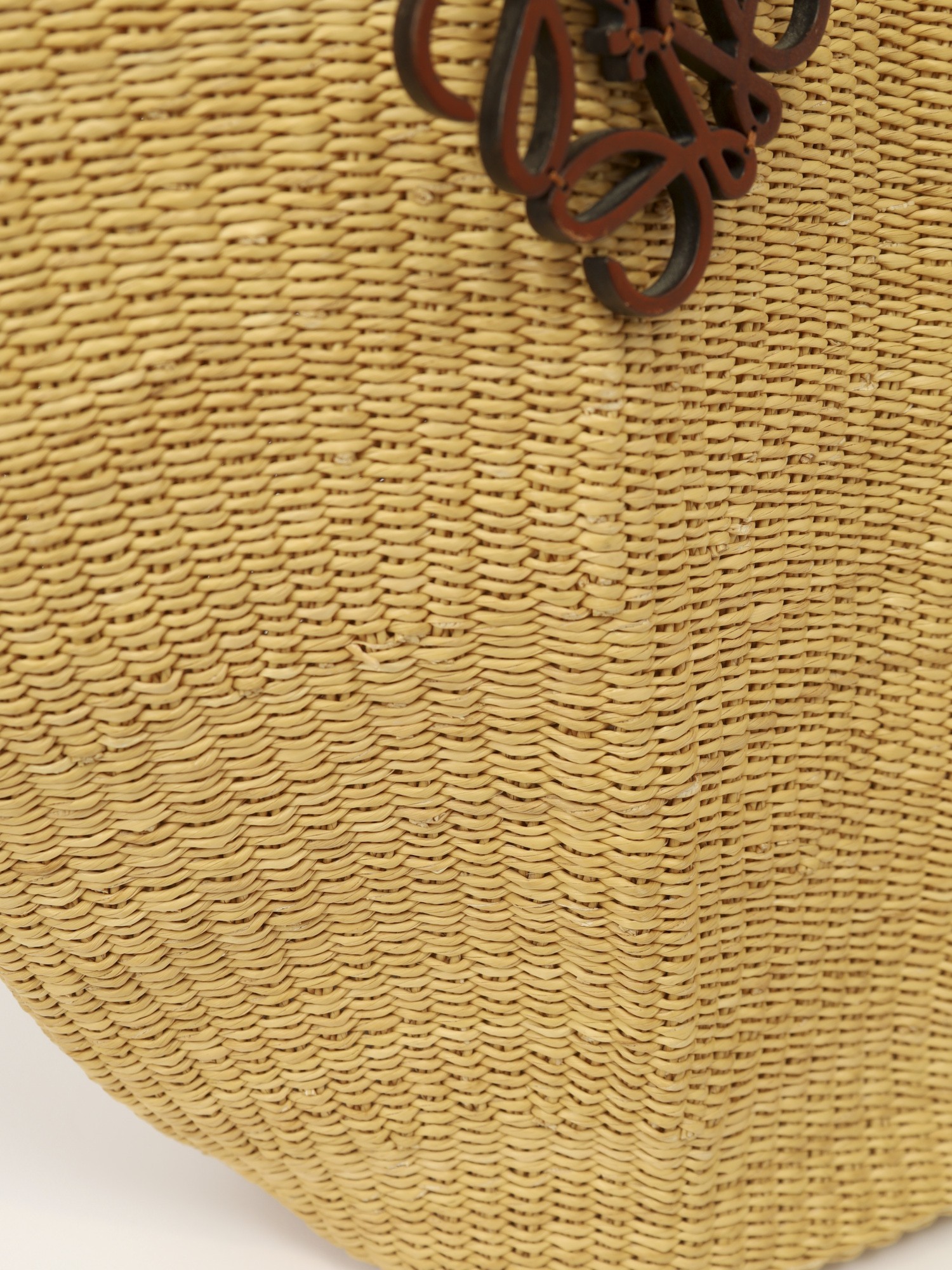 Loewe Raffia Bag 9