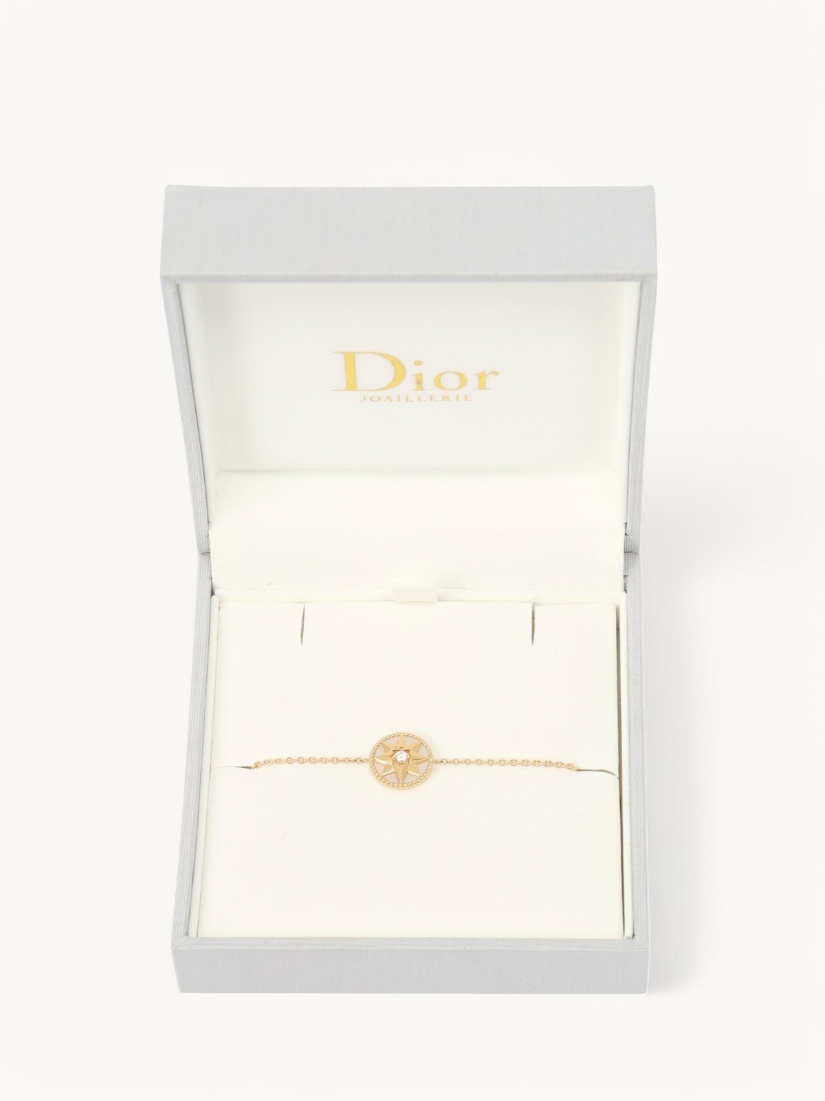Christian Dior Rose des Vents 4