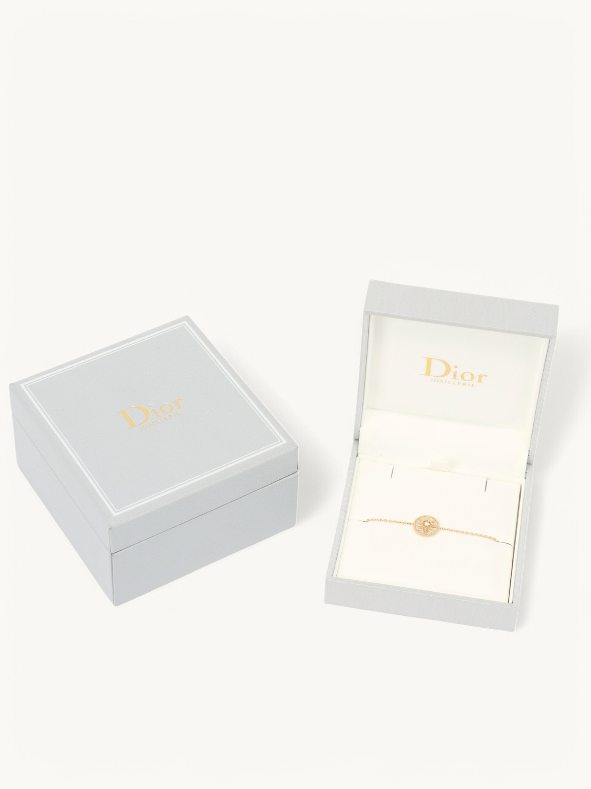 Christian Dior Rose des Vents 5