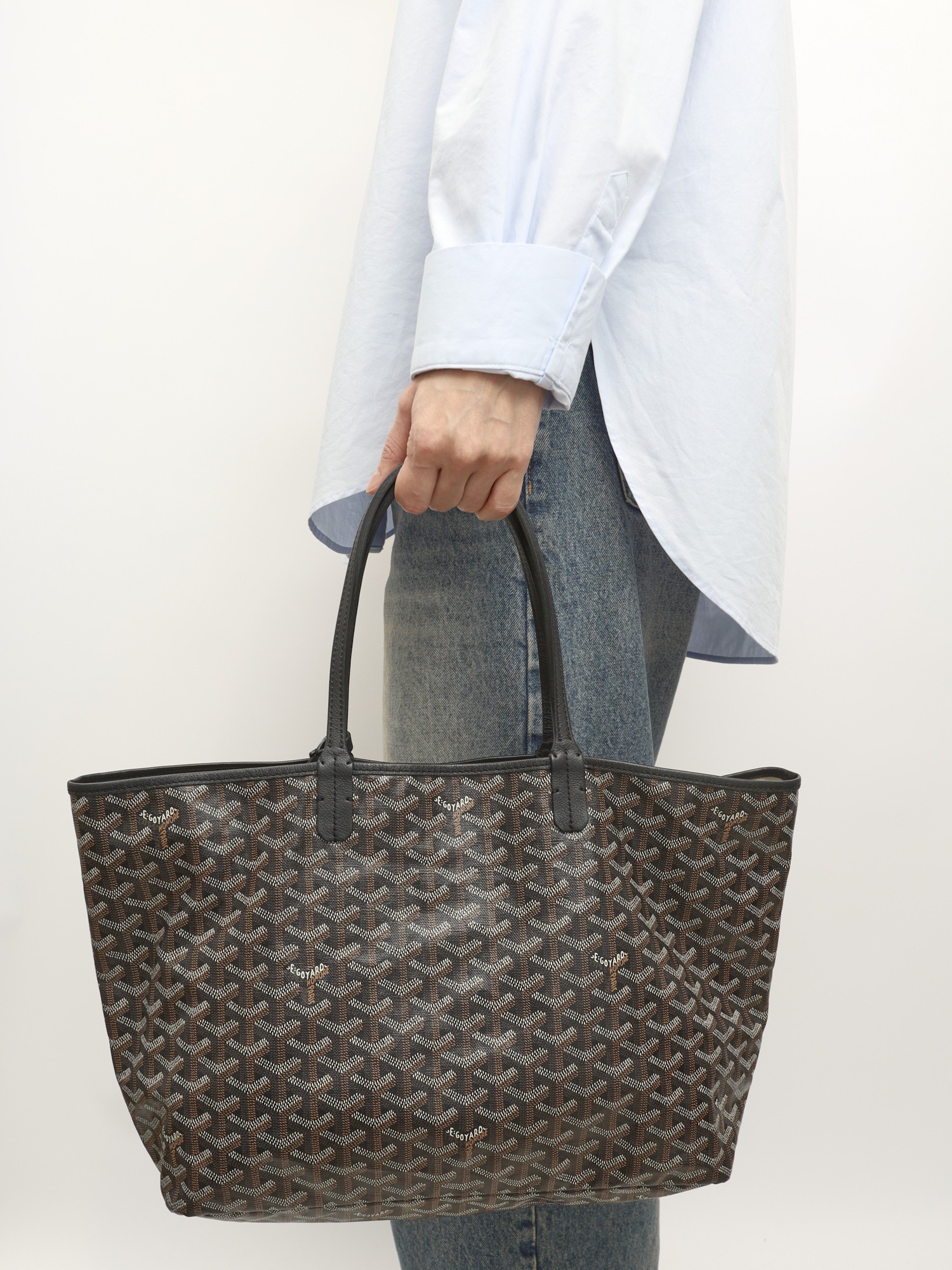 Goyard Saint Louis 1