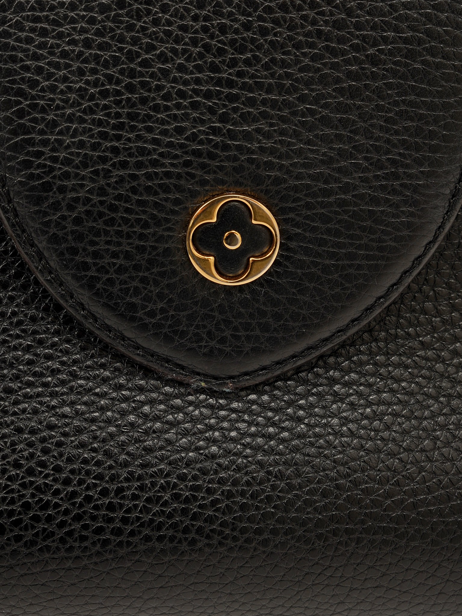 Louis Vuitton Capucines 5